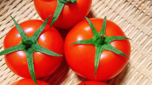 分光测色仪在检测西红柿的番茄指数中的应用